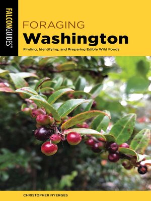 cover image of Foraging Washington